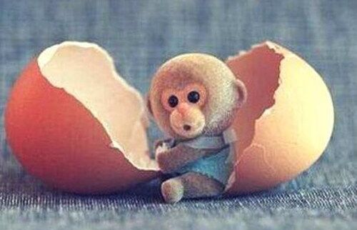 秘传八字立命宫口诀