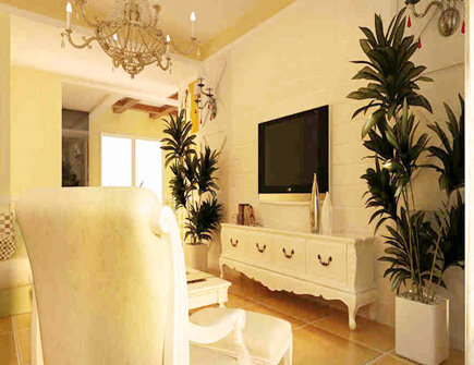 客厅中电视机两旁适合摆放什么植物