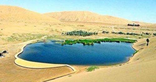 什么八字喜用枭印