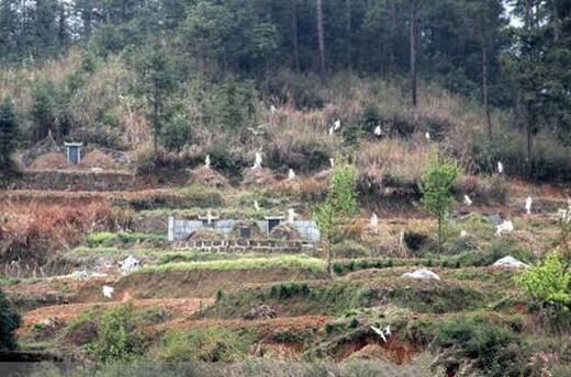 八字如何看阴阳宅 八字如何看阴阳宅