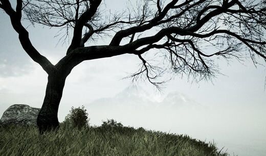 八字中木多怎么样 八字中木多怎么样