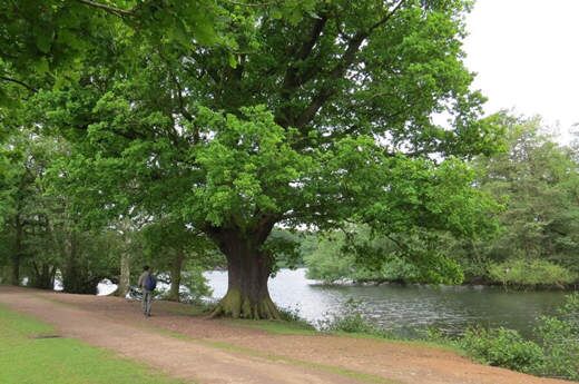 八字木多性格 八字木多性格