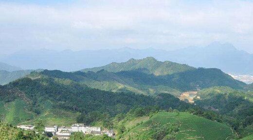 八字看阴阳宅坐山 八字看阴阳宅坐山