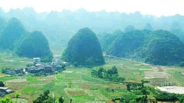 葬生基是真的吗? 葬生基是真的吗?