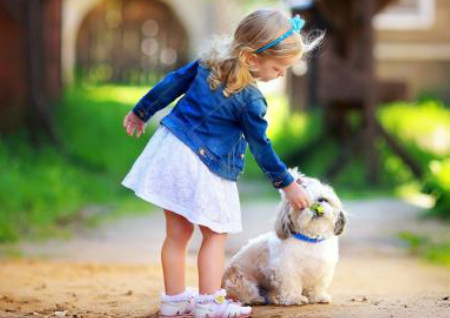 何姓女孩漂亮有涵养的名字