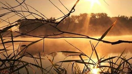 十天干万物类象 十天干万物类象