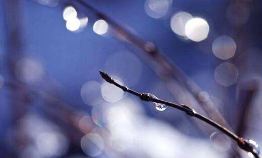 五行的性质特征 五行的性质特征