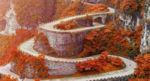 从强格八字 从强格八字