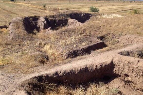 十二地支辰土详解 十二地支辰土详解