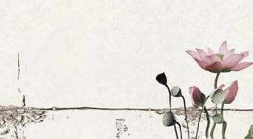 八字十神详解 八字十神详解