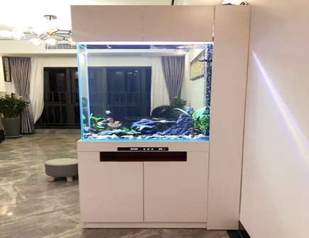 玄关处摆放鱼缸风水禁忌 玄关处摆放鱼缸风水禁忌