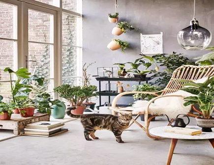 如何让家里旺起来