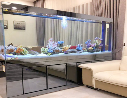 客厅鱼缸摆放位置的风水禁忌