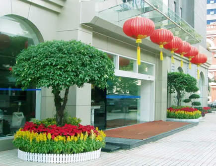 门前种什么树旺财运