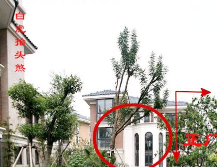 哪些风水给房屋带来凶运 哪些风水给房屋带来凶运