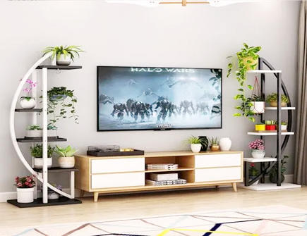 电视柜适合摆放什么植物