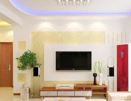 电视机两旁适合摆放什么植物