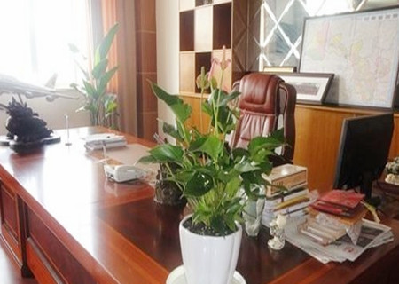 办公室最旺的风水植物 办公室最旺的风水植物