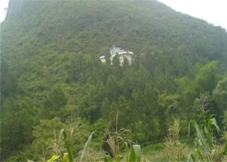阴宅风水立向讲究和解析 阴宅风水立向讲究和解析