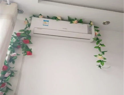 空调上摆放什么花可以旺财 空调上摆放什么花可以旺财