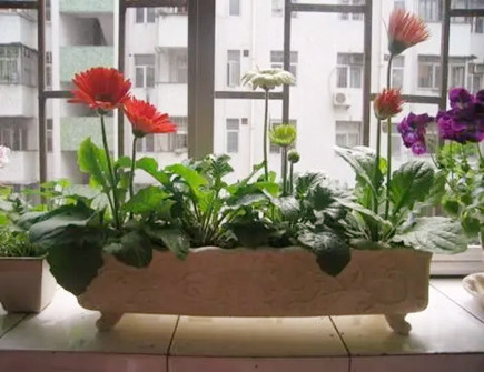 房屋阴气重有哪些表现 房屋阴气重有哪些表现