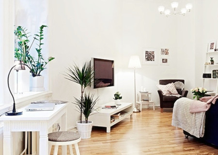 客厅摆花瓶有哪些风水禁忌 客厅摆花瓶有哪些风水禁忌