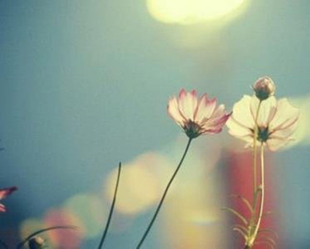 夏季阳台装修九大风水要注意