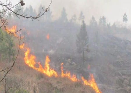 山头火命是什么意思