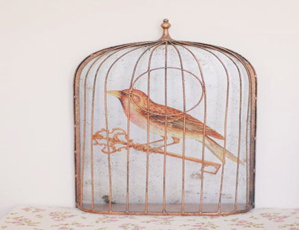 鸟在家窗户外做窝风水好不好 鸟在家窗户外做窝风水好不好