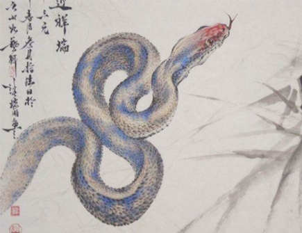 2022年属蛇人运气怎么样