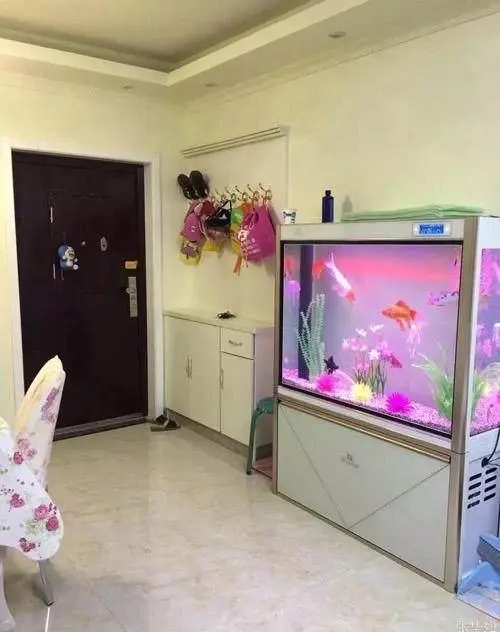 进门见鱼缸风水好不好