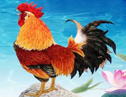 属鸡2022年幸运月份 属鸡2022年幸运月份