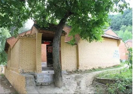 大门口种树风水禁忌 大门口种树风水禁忌