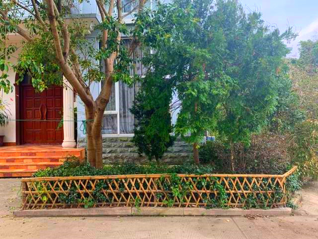 房子边应当种什么树木风水好
