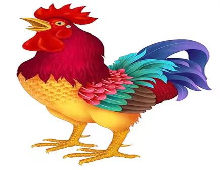 属鸡2022年的财运如何