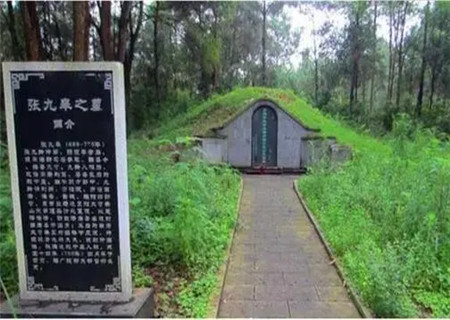 阴宅栽树的方位和禁忌 阴宅栽树的方位和禁忌