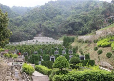 阴宅栽树的方位和禁忌 阴宅栽树的方位和禁忌