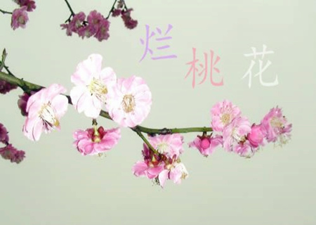 已婚夫妻有烂桃花的风水 已婚夫妻有烂桃花的风水