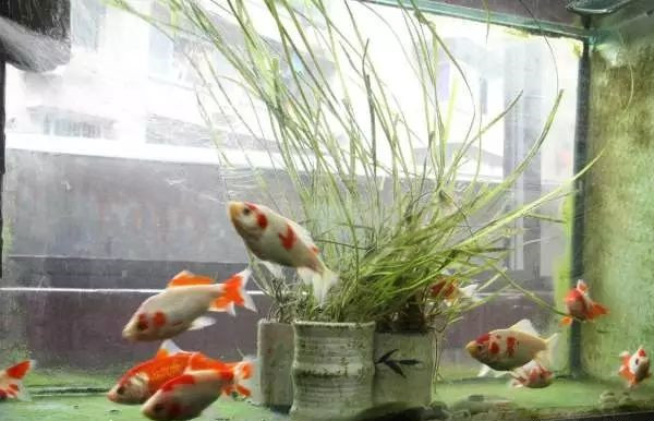 家里风水不好的征兆 家里风水不好的征兆