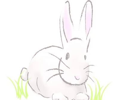 属兔的桃花劫是什么生肖