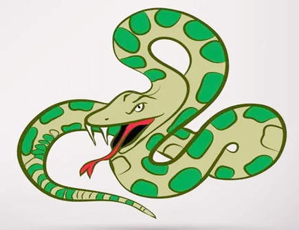 属蛇的桃花劫是什么生肖 属蛇的桃花劫是什么生肖