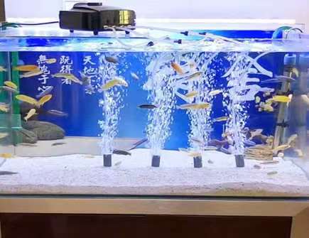 家里鱼缸漏水是漏财吗 家里鱼缸漏水是漏财吗