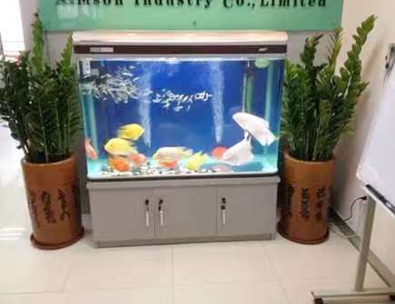 家里鱼缸漏水是漏财吗 家里鱼缸漏水是漏财吗