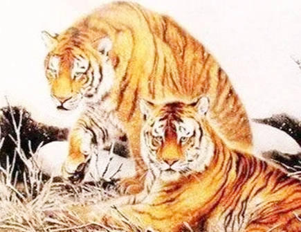 属虎人2022年上半年运势