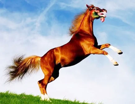 属马人2022年上半年运势 属马人2022年上半年运势