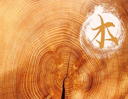 木命人戴什么旺运势 木命人戴什么旺运势