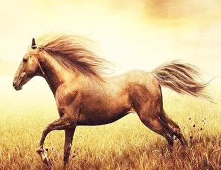 属马人恋爱前和恋爱后有什么反差 属马人恋爱前和恋爱后有什么反差