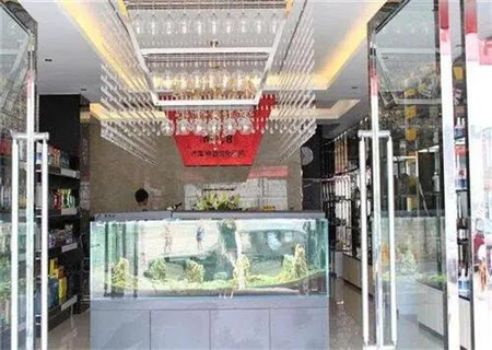 店铺鱼缸怎么摆放旺财 店铺鱼缸怎么摆放旺财