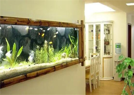 店铺鱼缸怎么摆放旺财 店铺鱼缸怎么摆放旺财