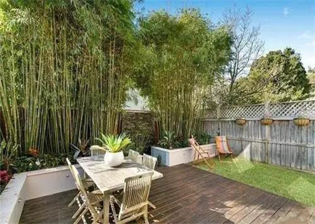 庭院种竹子的风水讲究 庭院种竹子的风水讲究